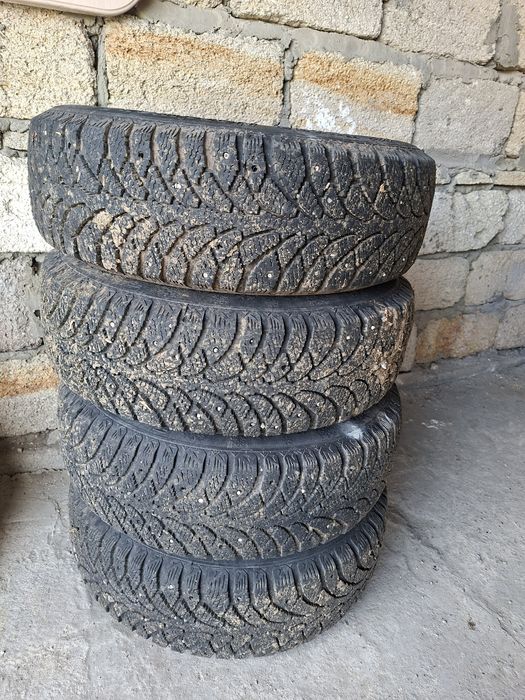 R13 татанка арбуз