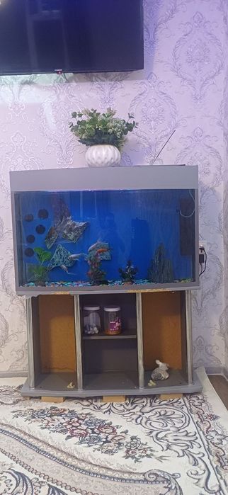 Аквариум акрил сотилади ҳолати зўр