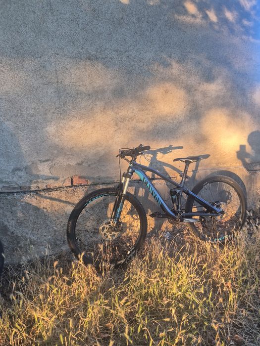 Canyon neuron al 7.0