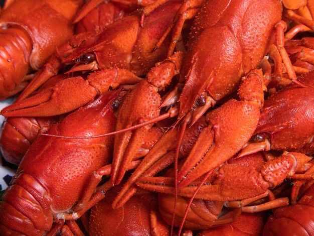 Ищете вкусных раков? У нас есть всё — от мини до гигантов!