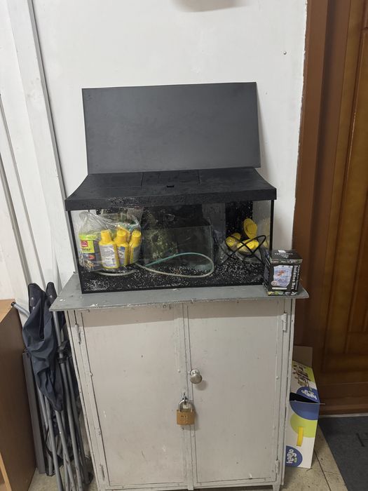 Vand acvariu 55 L complet echipat plus unul de 5 L