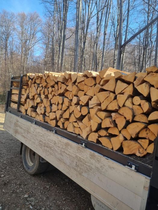 Lemn de foc fag crepat