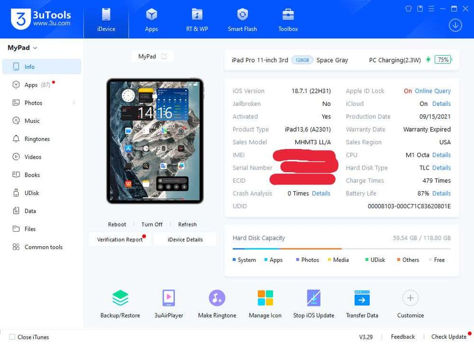 Ipad pro m1 ideal cellular