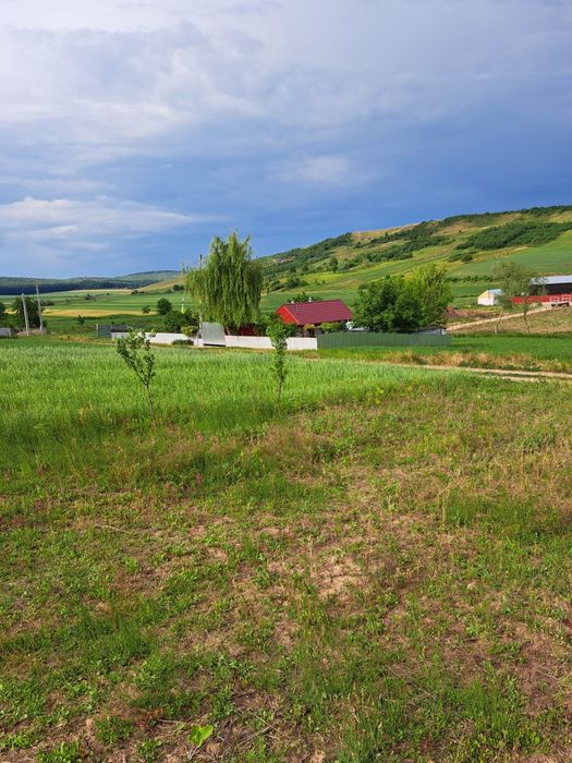 2900m2 teren intravilan in comuna Ion Creanga jud Neamt