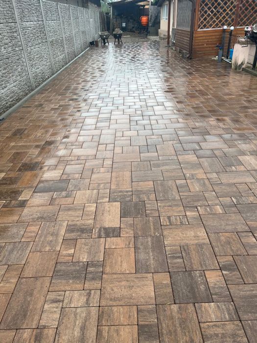 Montaj pavaj și grădini