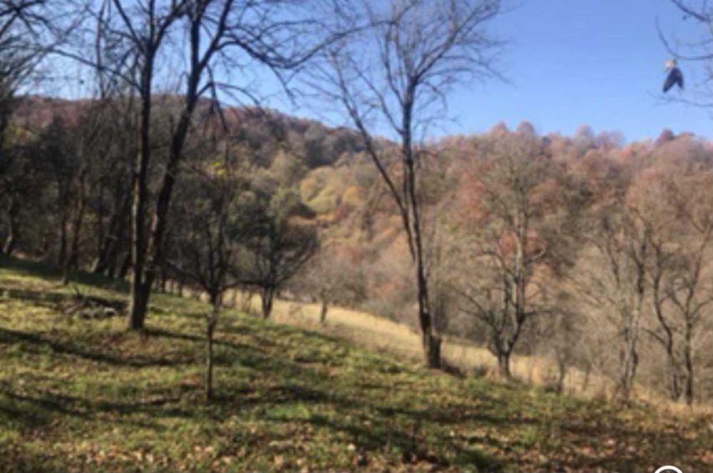 Conac de vânzare în stana