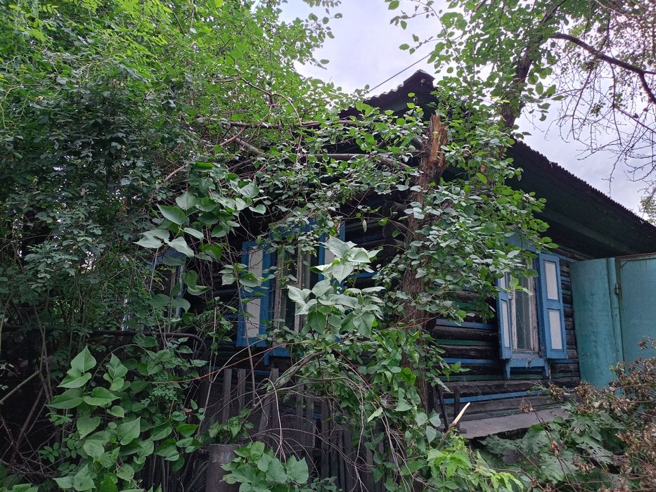 Недвижимость в городе Семей