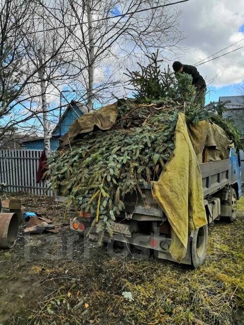 Вывоз мусора Газель! Грузчики! Газель!