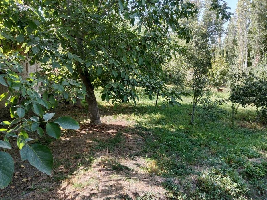 Yer sotiladi 5 sotix