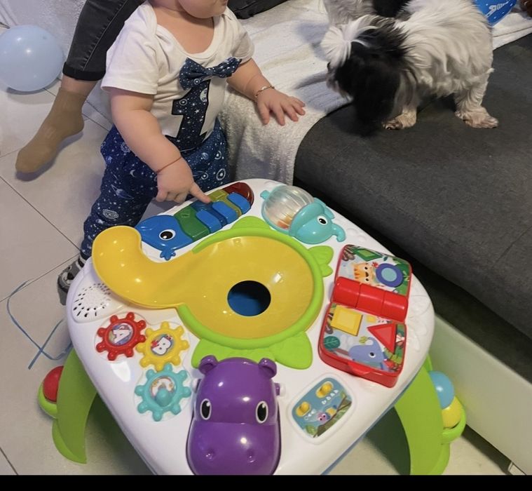 Masuta de activitati bebe