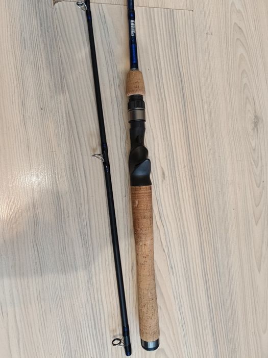 Lanseta baitcasting Team Daiwa