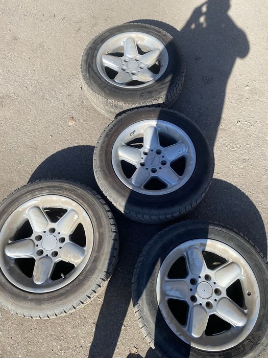 Продам шницера р16