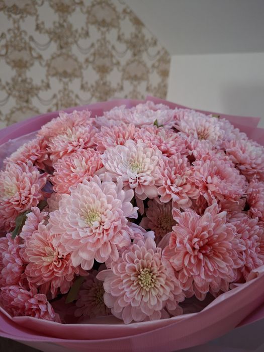 Гул сатылады... Жакында келген