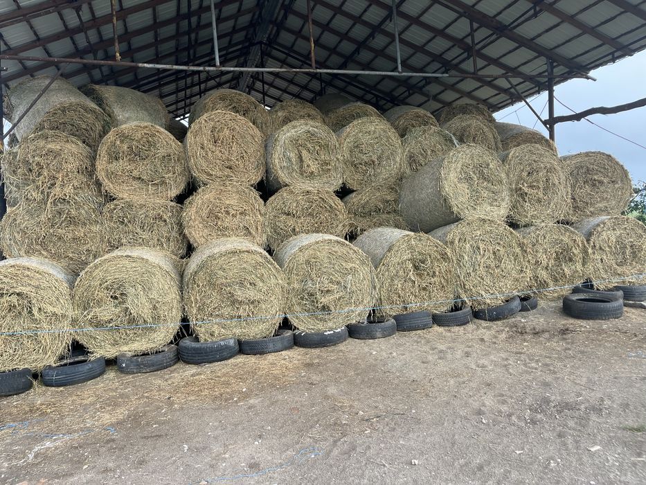 Vand baloti de lucerna