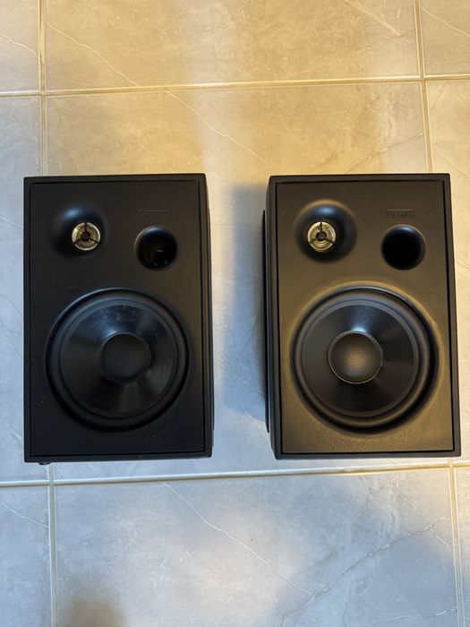 Boxe Profesionale JBL si Magnat