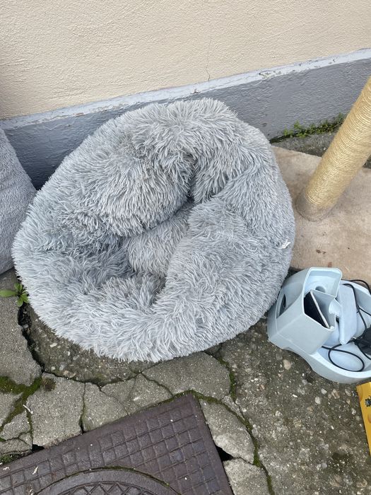 Accesorii pentru pisici