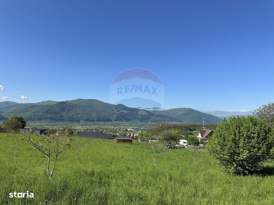 Teren Bistrita / Plopusor