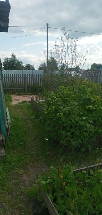 Продам дачу в обществе Борки