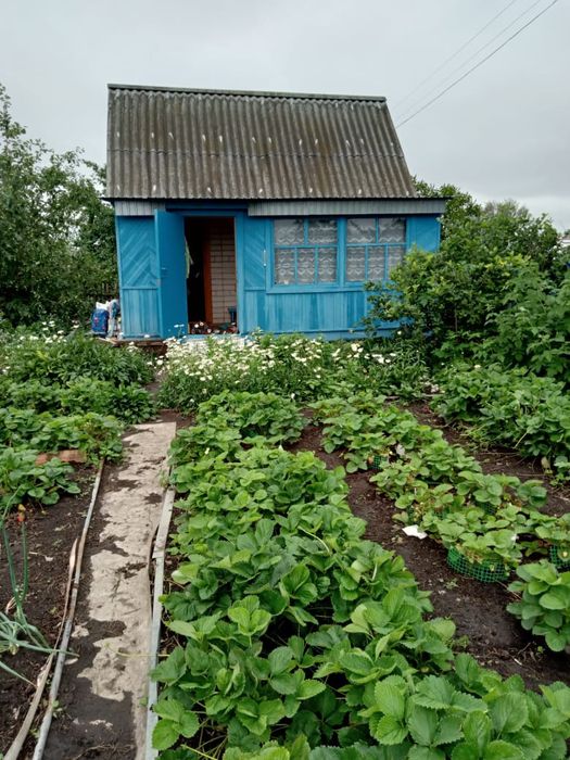 Продам дачу/огород