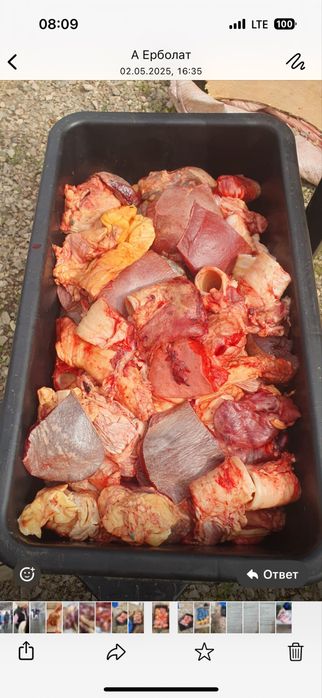 Отход для собаки