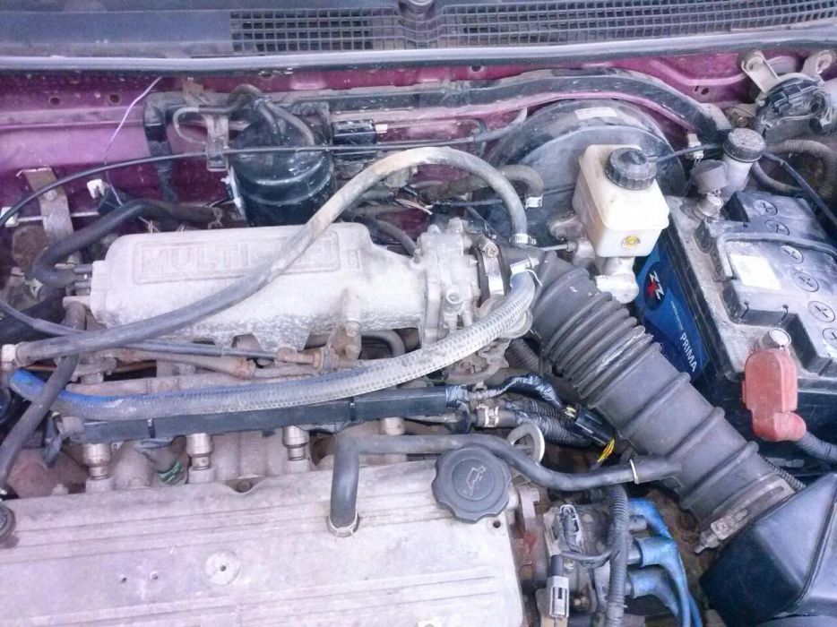 Кия сепия на части