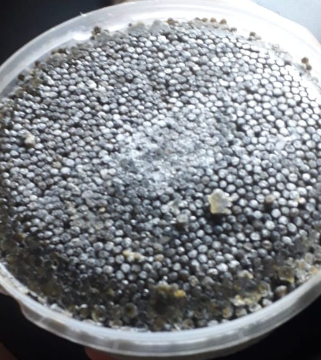 Икра чёрная свежая