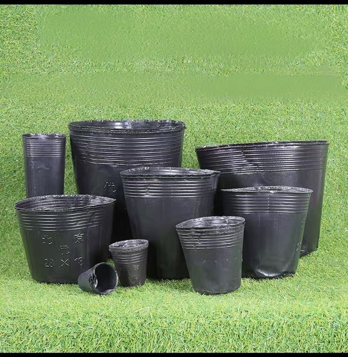 Касета хамма размерлари рангли тувак бир марталик кулоклар, калиш