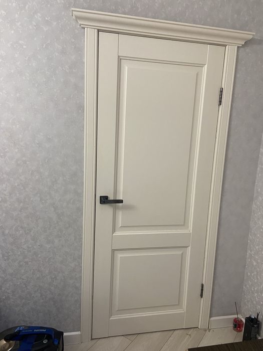 Двери поодаются