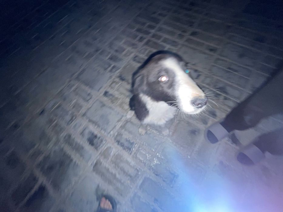 Электроскутер ск8