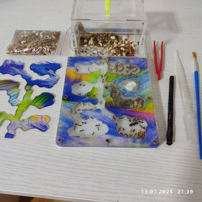 Муравьиная ферма со всеми принадлежностями