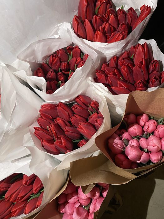 Тюльпаны по 500 тг