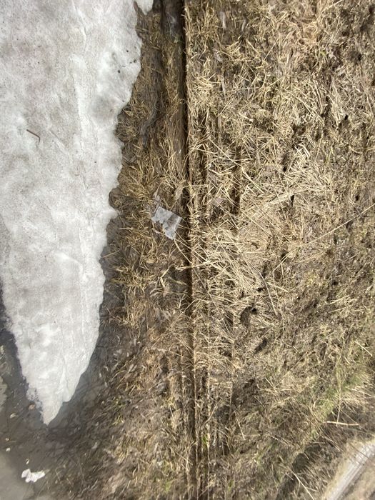 Продам рельсы цена договорная