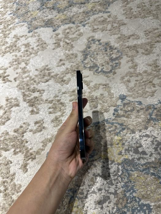 iphone 12pro max 128 tali