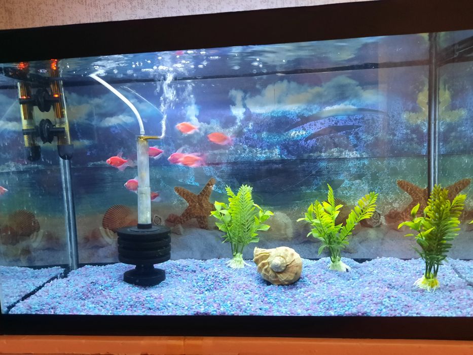 Продам  аквариум