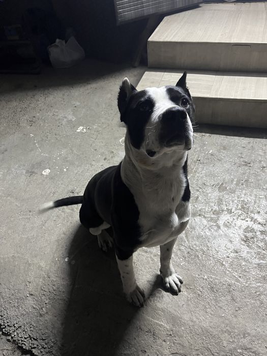 Кабель на вязку