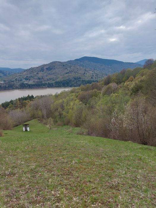 Teren la drumul național în comuna Hangu spre Poiana Largului