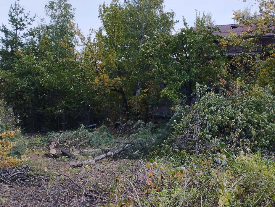 Почистване на терени от дървета и храсти