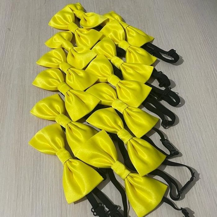 Пояс бабочка для мальчиков