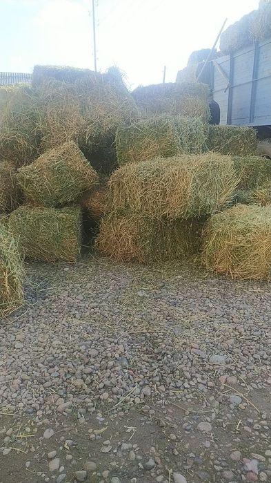 Beda pres sotamiza toshkenga