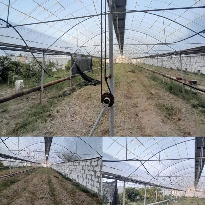 9.5 sotik Parnik srochni sotiladi