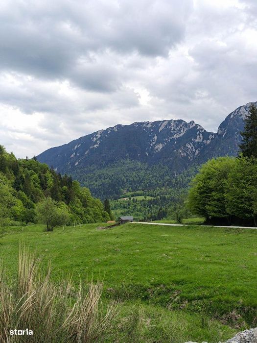 Zarnesti-Bârsa Fierului-Teren 1.893 mp pentru Casă de vacanță, A-frame