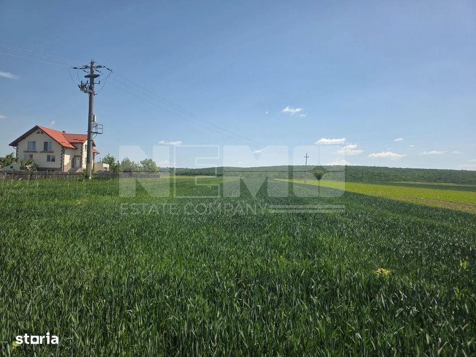 Teren Extravilan | Mitocu Dragomirnei | 2.600 Mp