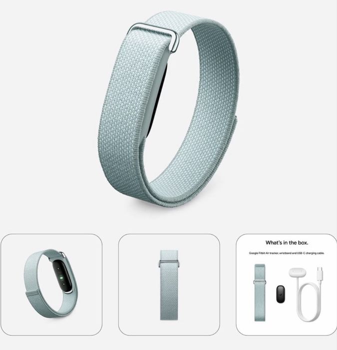 Google Fitbit Air