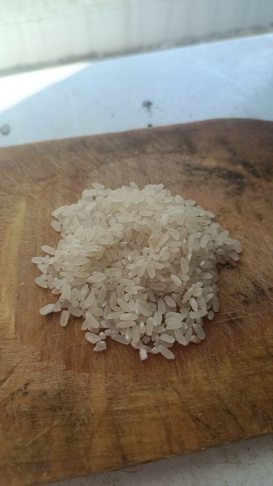 Продам рис отборный