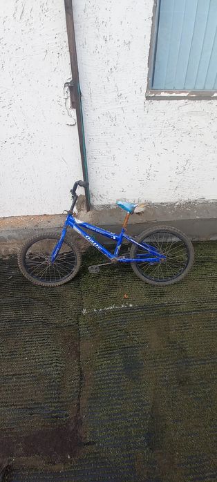 Продам 2 велика по 10000