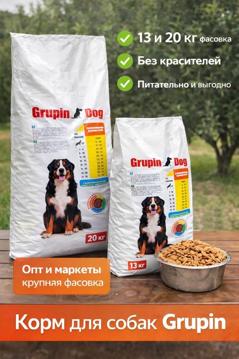 Сухой корм для собак