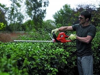 Elektr kustarez Turkiya Rodex