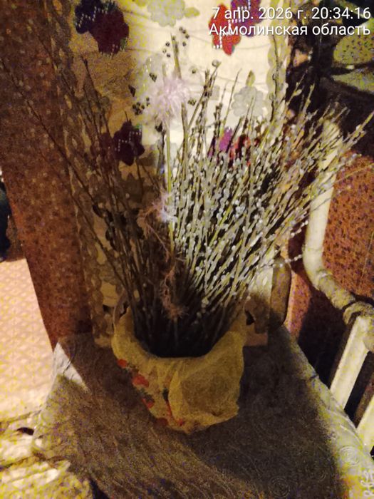 Продам вербу освещённую