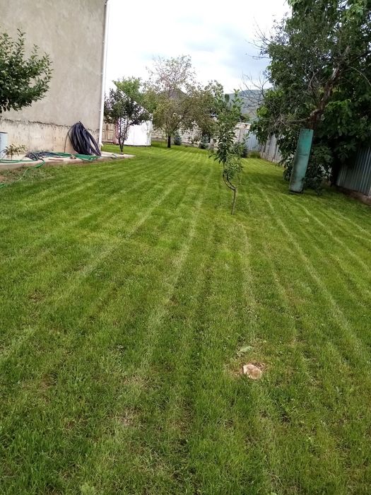 Садовник Каскелен обрезка деревьев