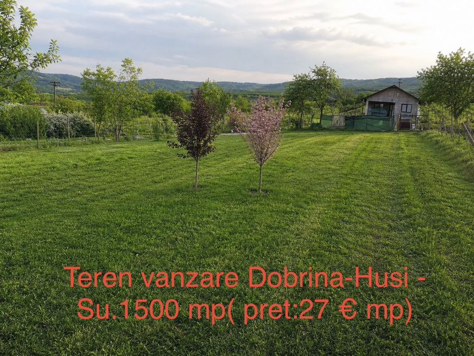 Teren de vanzare